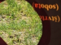 DSCN0226