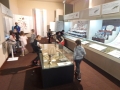 DSCN9155