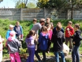 DSCN0135.JPG