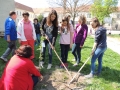 DSCN4351.JPG
