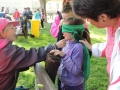 DSCN4378.JPG