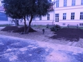DSCN6938