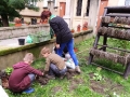 DSCN8750