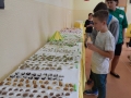 DSCN4954