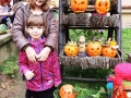 DSCN0012