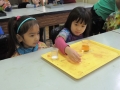 DSCN0262