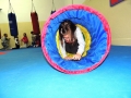 DSCN0084