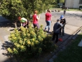 DSCN9955.JPG
